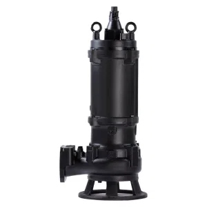 Насос канализационный CNP 65WQ40-16-4ACW(I)* (ЦНП) Насос канализационный CNP 65WQ40-16-4ACW(I)* (ЦНП)
