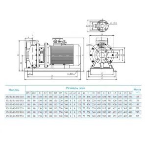 Консольно-моноблочный насос CNP ZS 100-80-200/22 SSC (ЦНП) Консольно-моноблочный насос CNP ZS 100-80-200/22 SSC (ЦНП)